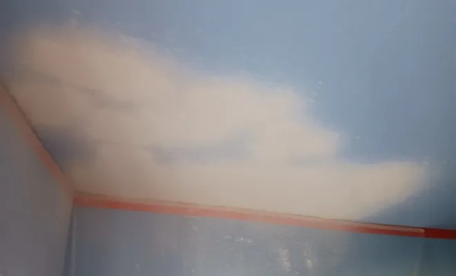 Travaux de peinture, Le Lavandou, Le Peintre
